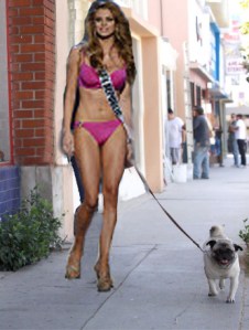 gustl miss slovakia
