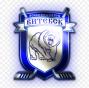 Vitebsk Bears